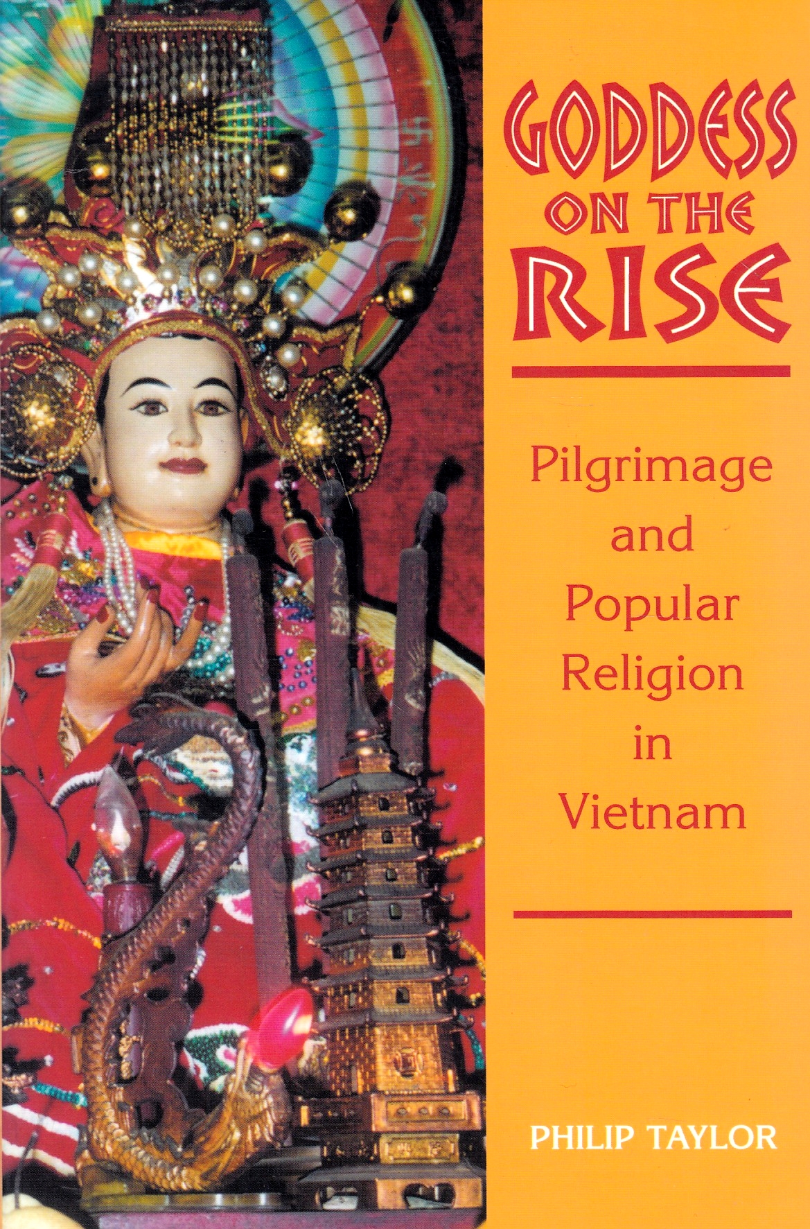Goddess on the Rise: pilgrimage and popular religion in Vietnam.
