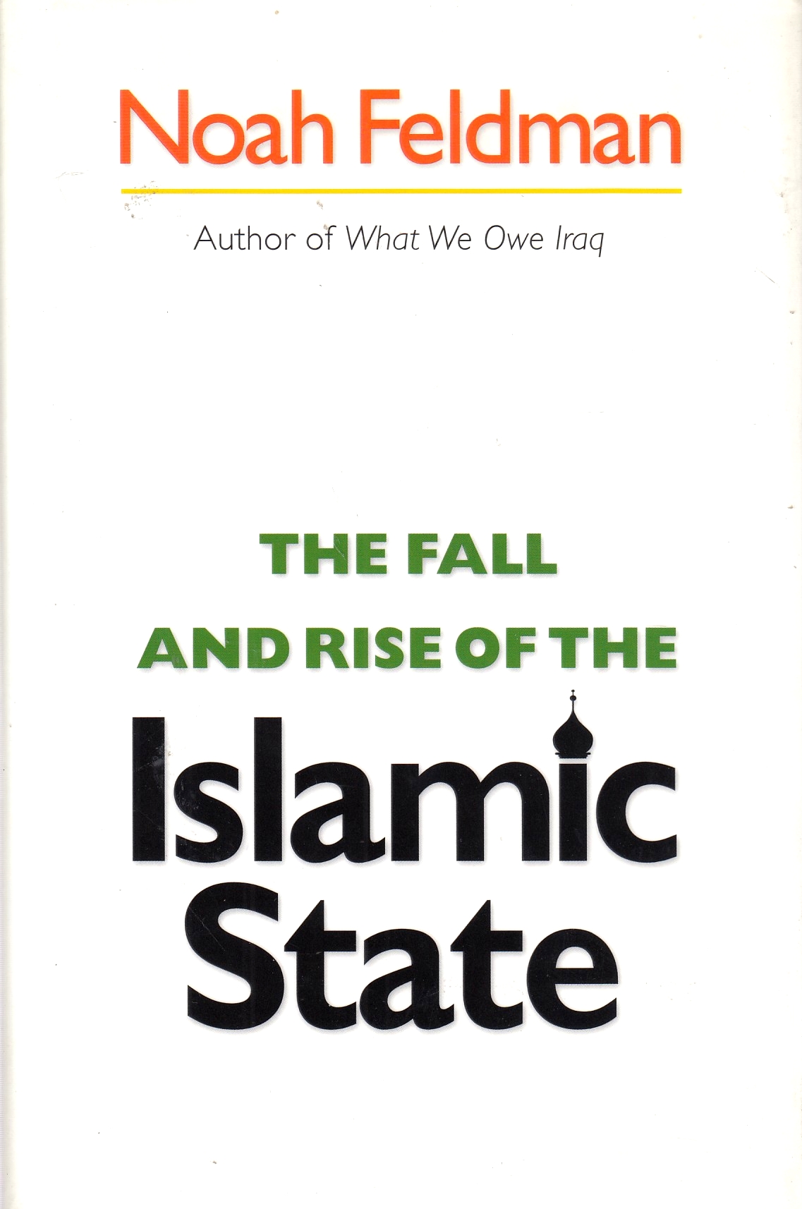 The Fall and Rise of the Islamic State.